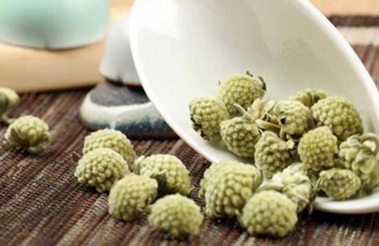 綠蘿花茶可以長期喝嗎,綠蘿花茶的功效和作用