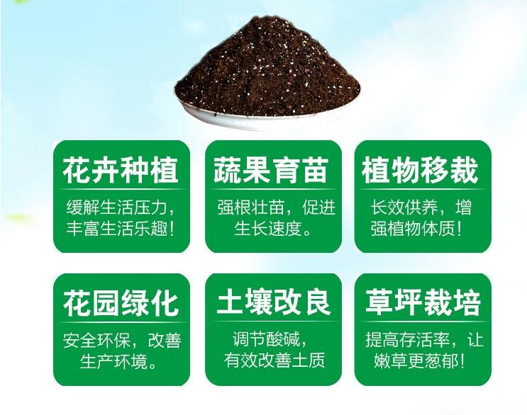 康乃馨用什么肥料,康乃馨肥料推薦(康乃馨營養液)