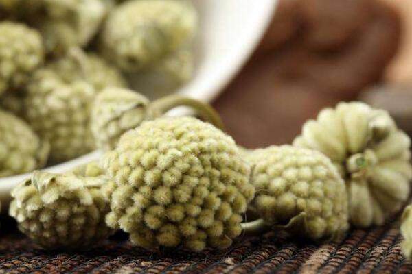 綠蘿花的功效與作用,可以降低三高