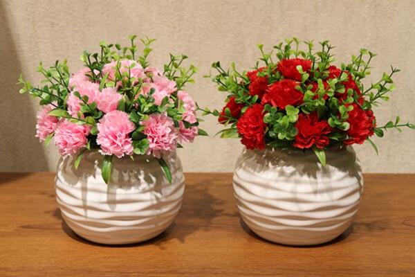 康乃馨花謝后怎么處理,修剪以及補充營養