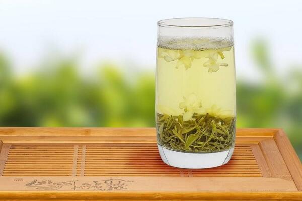 茉莉花茶的好處,四大功效以及作用
