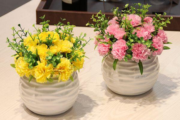 康乃馨花怎么養,康乃馨養殖的5大要點