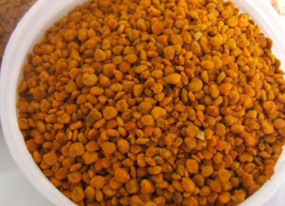 茶花粉有什么功效,調節內分泌、提高人體免疫力