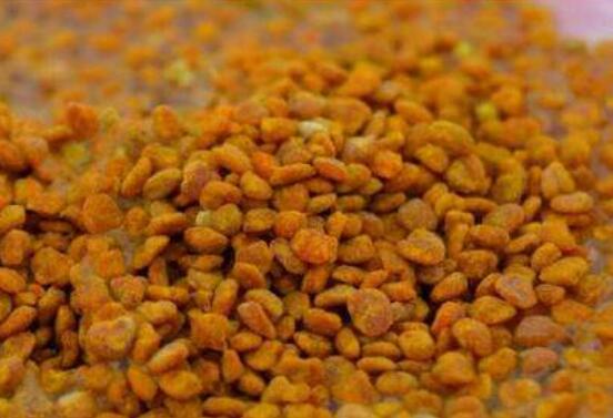茶花粉有什么功效,調節內分泌、提高人體免疫力