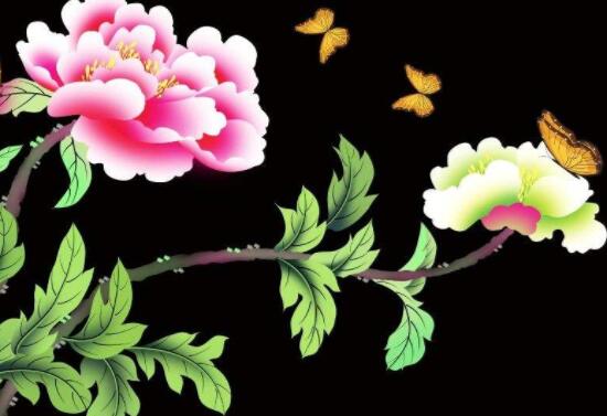 牡丹花為什么不能進(jìn)家門,生長環(huán)境不適/風(fēng)水氣勢強(qiáng)大(危害性強(qiáng))