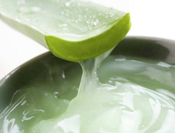 蘆薈膠的正確用法,教你三種效用最大的簡單方法