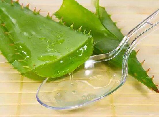 蘆薈膠的正確用法,教你三種效用最大的簡單方法