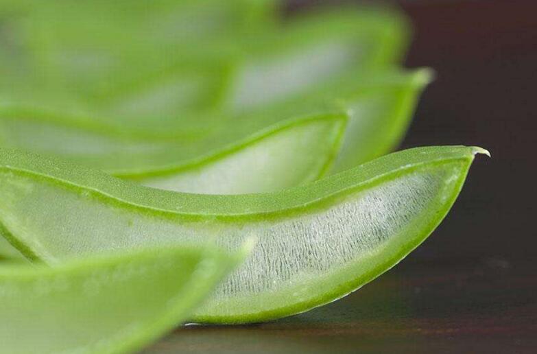 中國蘆薈的功效與作用,護膚養(yǎng)顏又排毒減肥