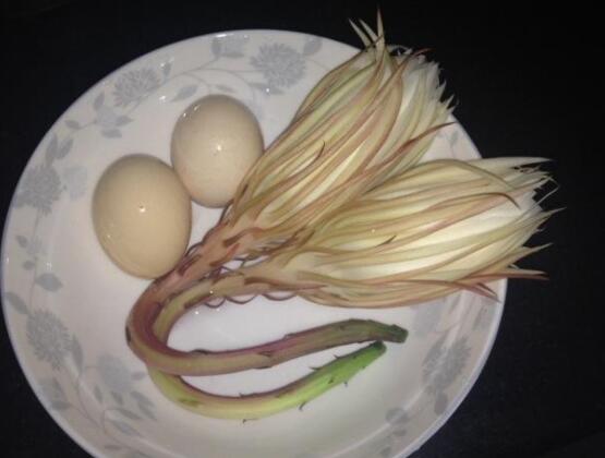 新鮮曇花怎么吃,泡茶喝最為簡(jiǎn)單食用(價(jià)值高)
