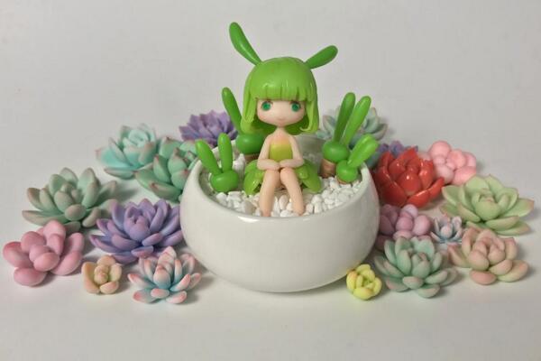 碧光環怎么種植,4步即可完成碧光環的種植