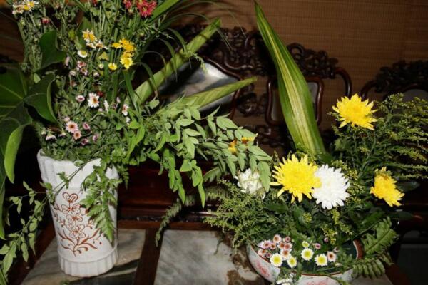 菊花能放在臥室嗎,可以放但是晚上要搬出臥室