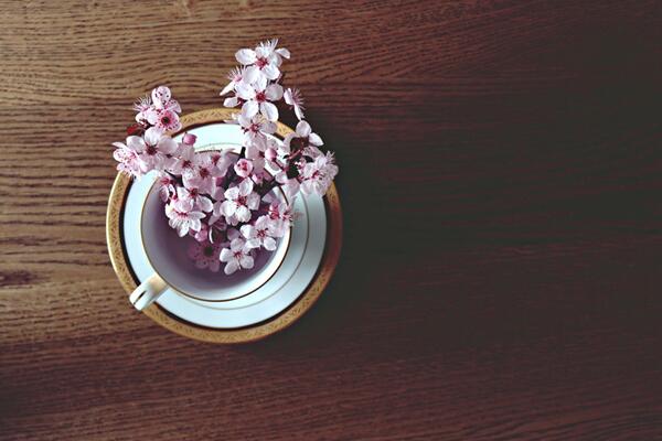 櫻花什么時候開花,每年的4月開花(花期15天左右)