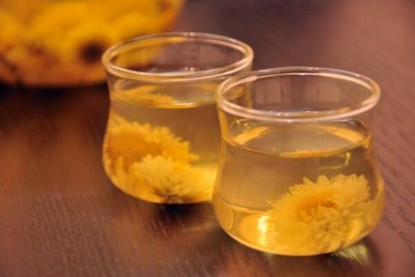 菊花茶可以天天喝嗎,不建議天天飲用