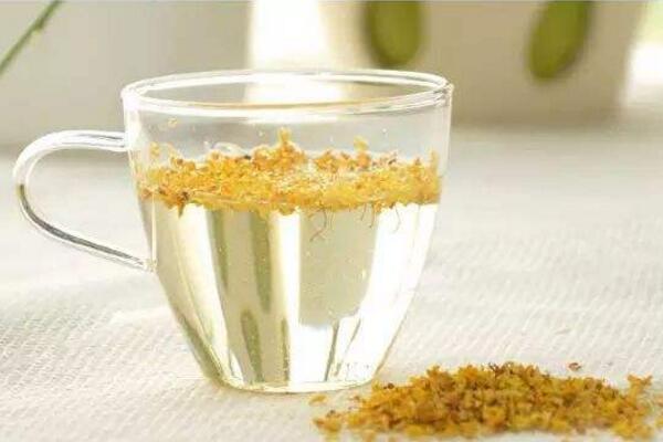桂花茶不適合什么人,桂花茶的飲用禁忌