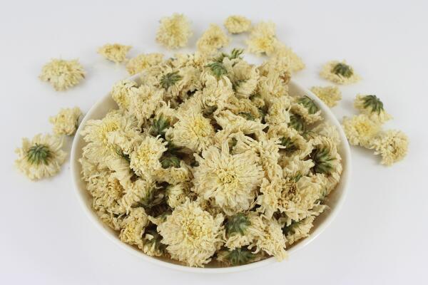菊花有毒嗎,觸摸會導致皮膚瘙癢、腫脹