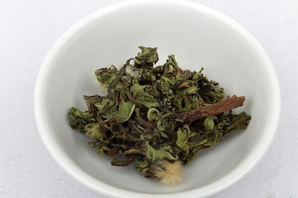 蒲公英泡水喝的禁忌,蒲公英泡水四大禁忌