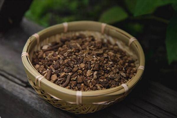 蒲公英根茶能長期喝嗎,每星期飲用3~4次即可