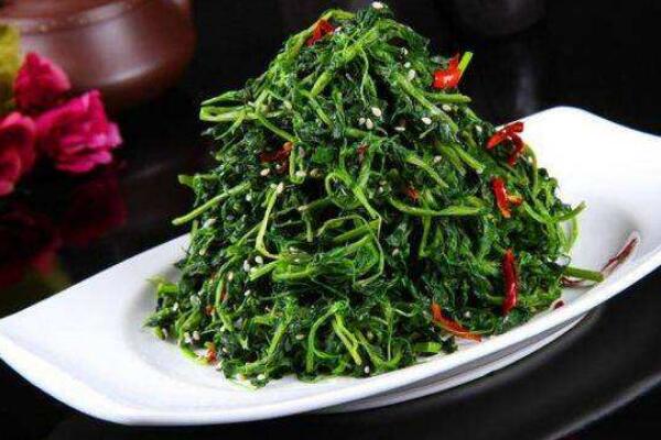 蒲公英怎么吃,涼拌、炒菜、煲湯