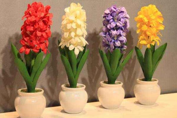 冬天養花怎樣保溫,可以直接搬入室內進行保溫
