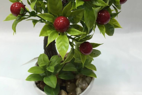盆栽櫻桃樹怎么養(yǎng),盆栽過程中修剪樹形促花促果