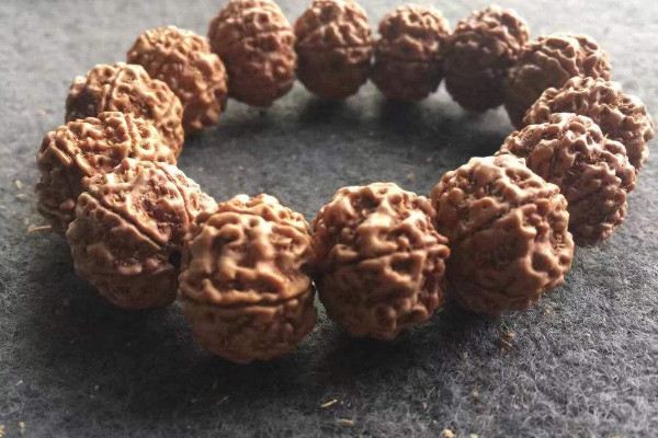 金剛菩提是什么植物的種子,金剛菩提子/圓果杜英
