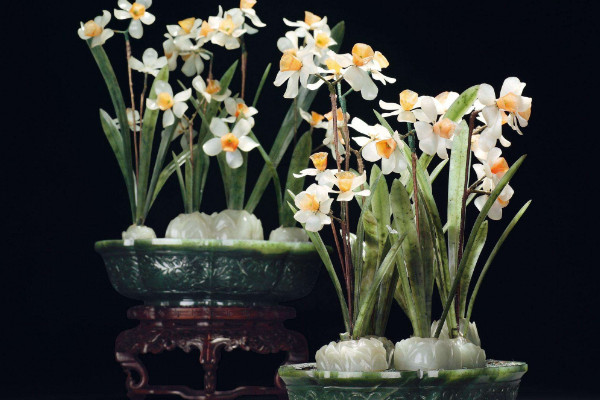 盆栽水仙花管理,冬季控溫要在5℃以上