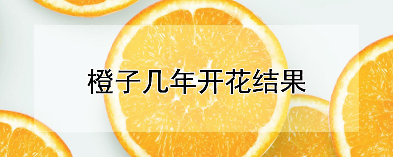 橙子幾年開花結(jié)果