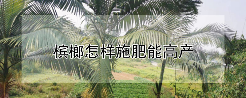 檳榔怎樣施肥能高產(chǎn)