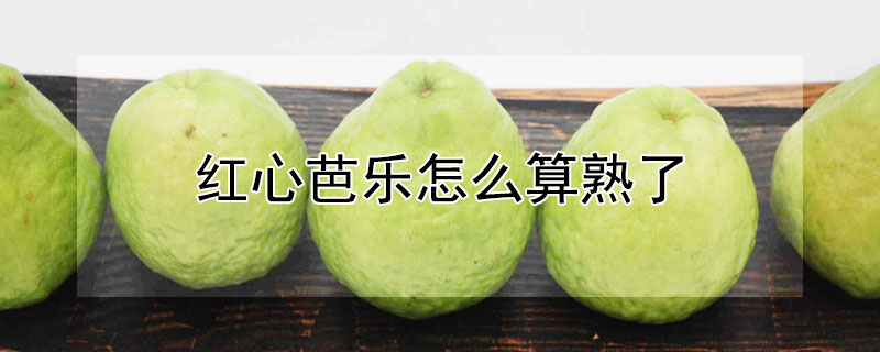 紅心芭樂怎么算熟了