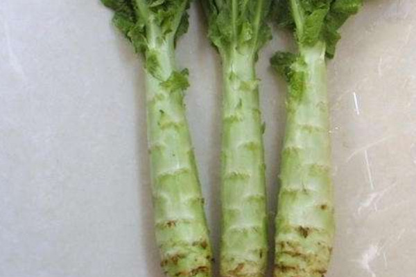 萵筍種植時間和方法