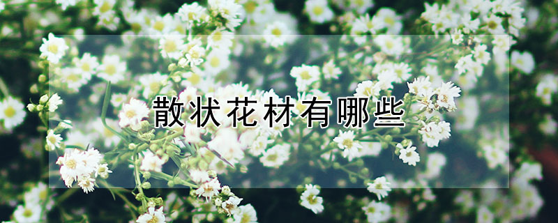 散狀花材有哪些