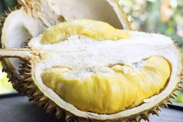 榴蓮什么時候成熟