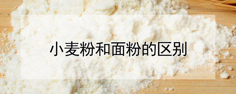 小麥粉和面粉的區別