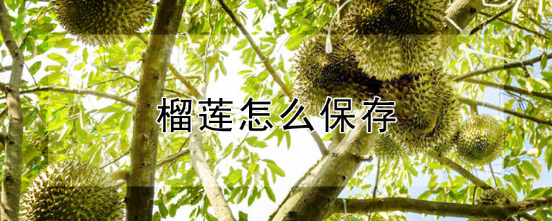 榴蓮怎么保存