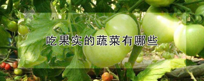 吃果實的蔬菜有哪些