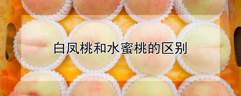 白鳳桃和水蜜桃的區別