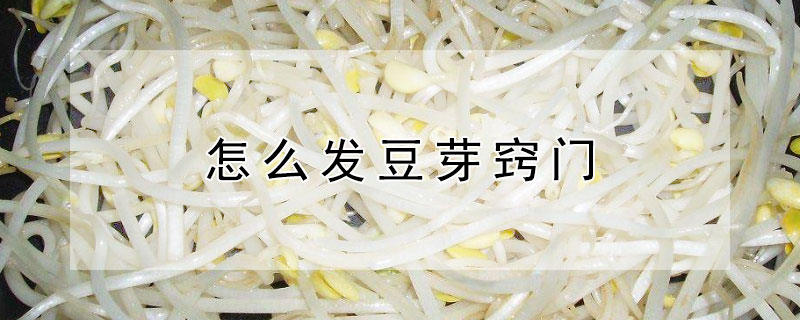 怎么發(fā)豆芽竅門