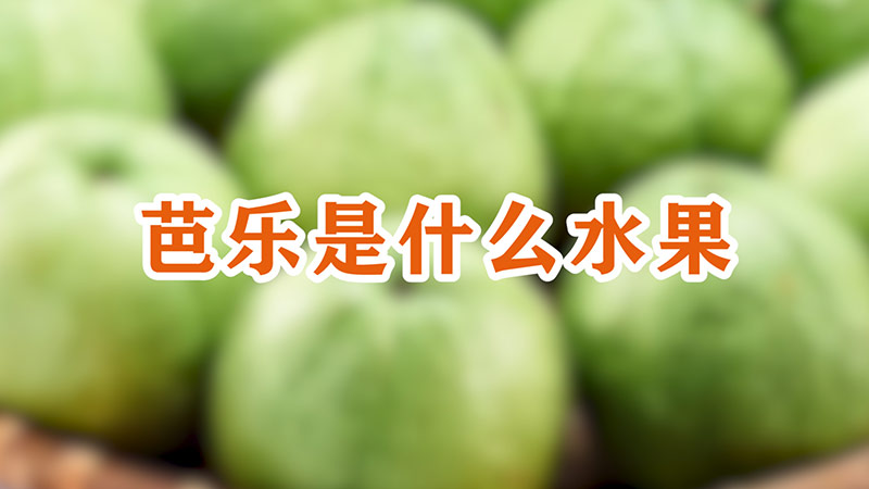 芭樂是什么水果