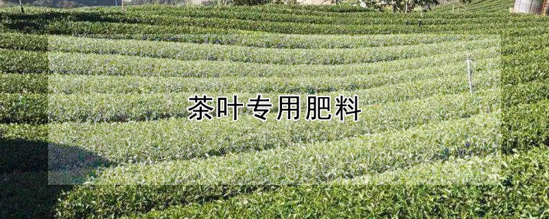 茶葉專用肥料