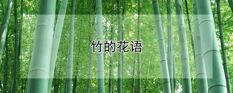 竹的花語