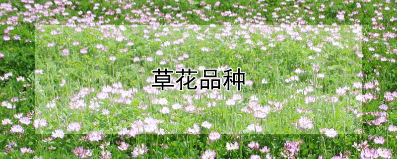 草花品種