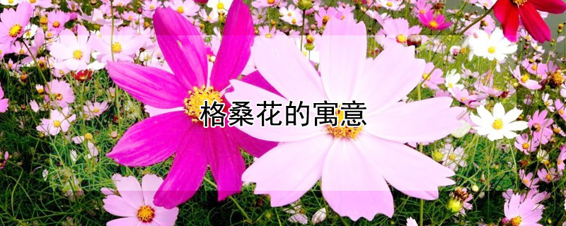 格?；ǖ脑⒁?></a></div>
                    </div>
                    <h3><a href=