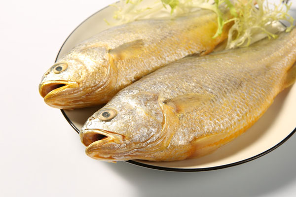 黃魚是什么魚?