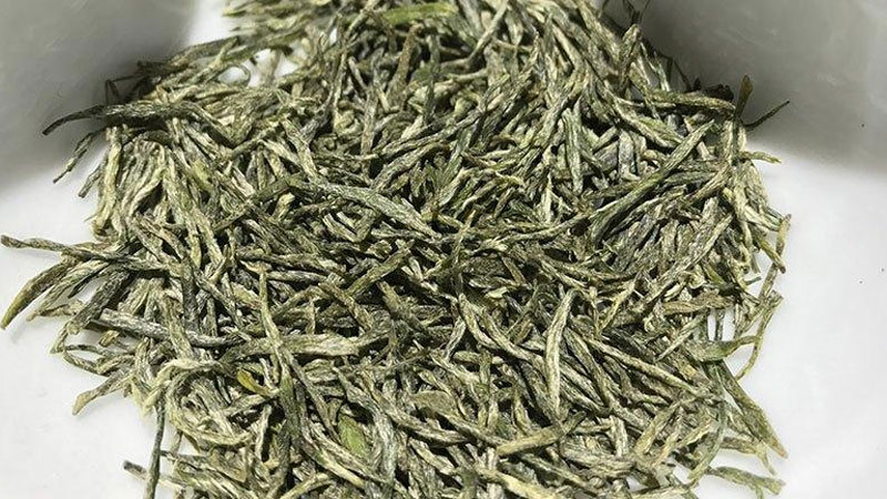 信陽毛尖是什么茶