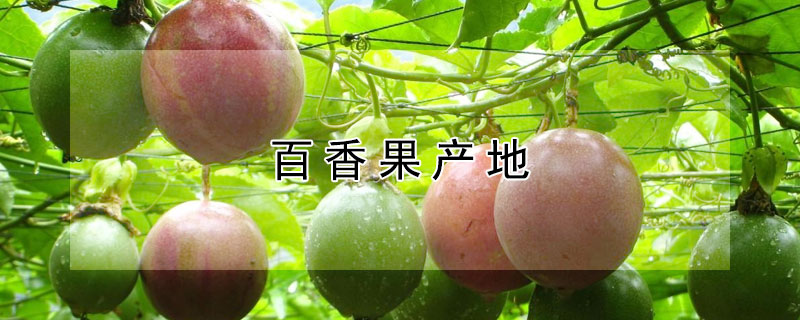 百香果產(chǎn)地
