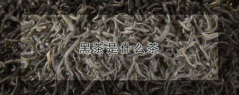 黑茶是什么茶