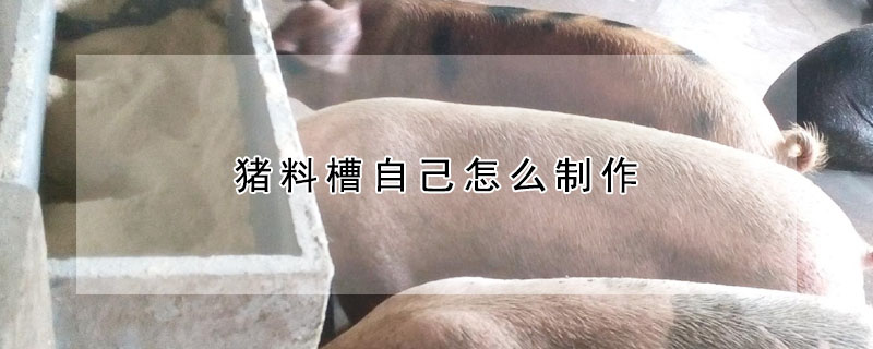 豬料槽自己怎么制作
