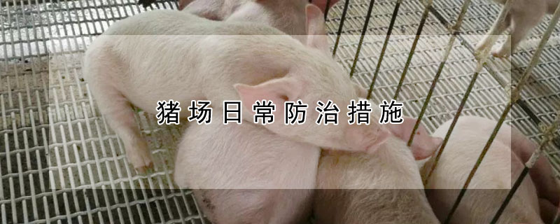 豬場(chǎng)日常防治措施
