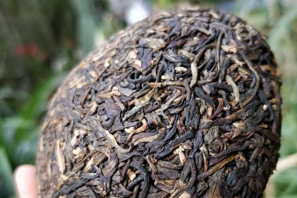 沱茶屬于什么茶，什么是沱茶