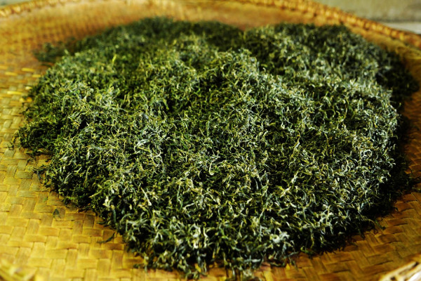 廬山云霧茶屬于什么茶,廬山云霧茶是哪種茶